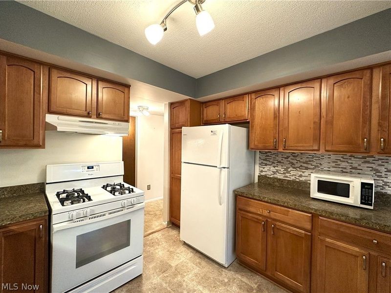 1105 Canyon View Road, Sagamore Hills, OH 44067 Photo 3