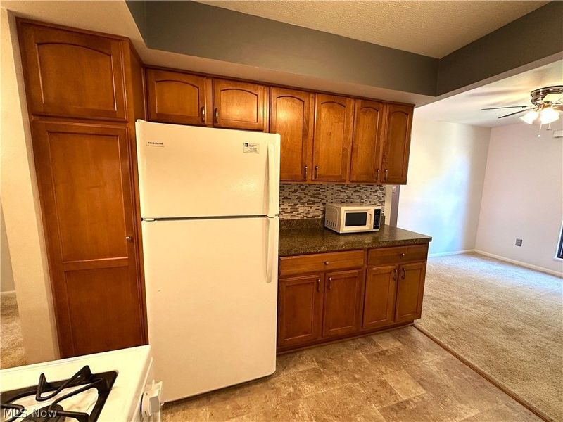 1105 Canyon View Road, Sagamore Hills, OH 44067 Photo 4