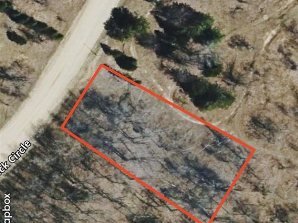 Lot 645 Renwick Circle, Unit 645, Mancelona, MI 49659