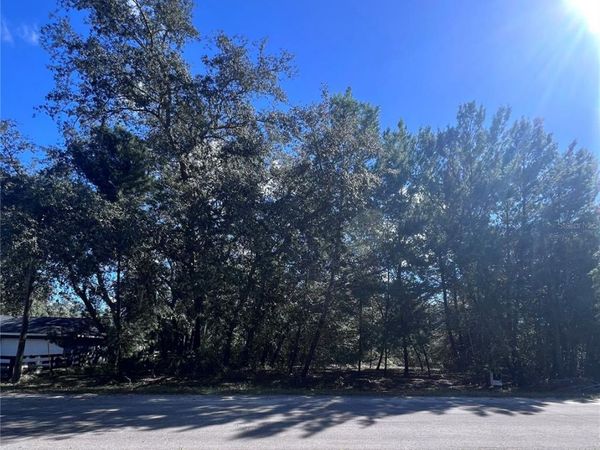 FISHER WAY TRAIL , OCKLAWAHA, FL 32179