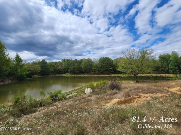 81.4 Rowell Road, Coldwater, MS 38618
