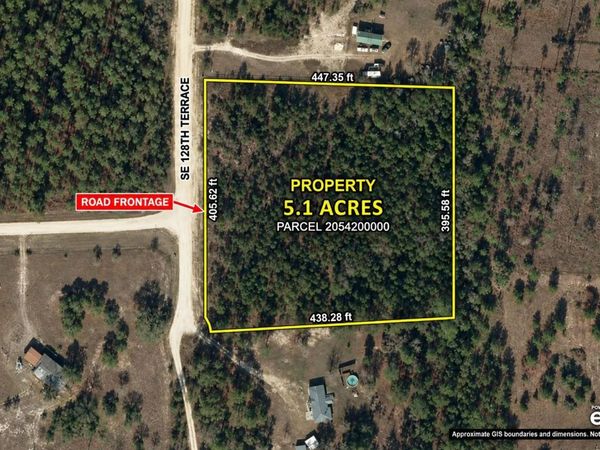 SE 128TH TERRACE , MORRISTON, FL 32668