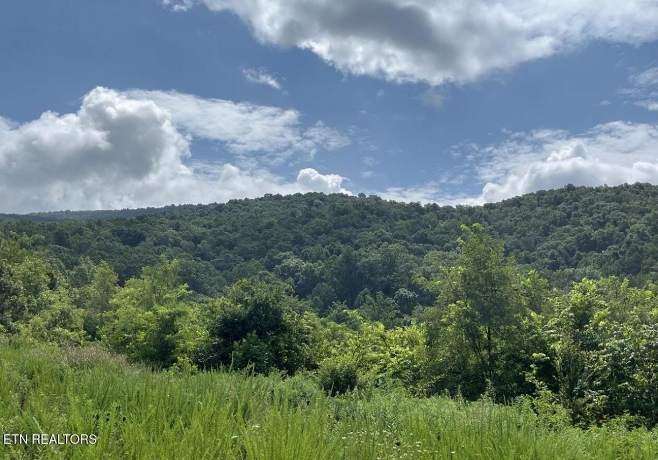 442 Billingsley Rd, Dunlap, TN 37327 Main Photo