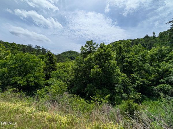 Tbd Speers Valley Road, Duffield, VA 24244
