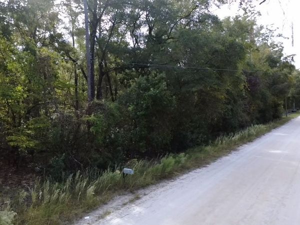 SW LONGHORN TERRACE, Fort White, FL 32038