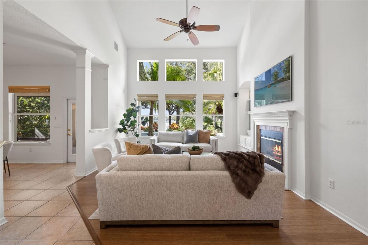 14623 Canopy Drive, Tampa, FL 33626 Photo