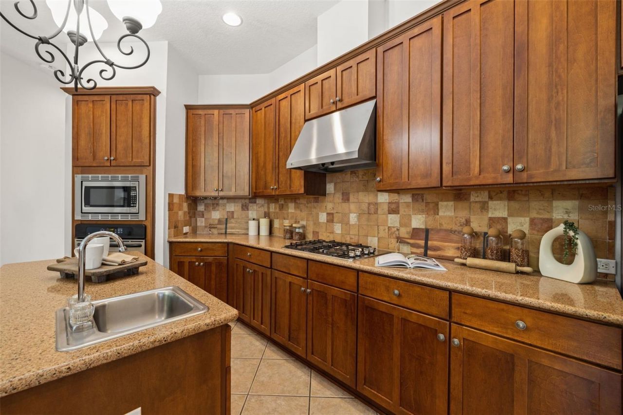 14623 Canopy Drive, Tampa, FL 33626 Photo