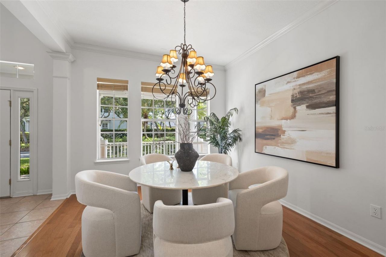 14623 Canopy Drive, Tampa, FL 33626 Photo