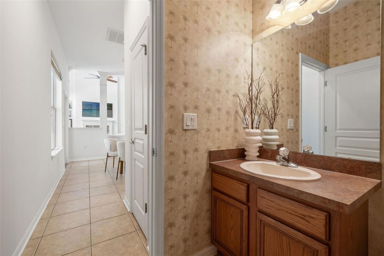 14623 Canopy Drive, Tampa, FL 33626 Photo