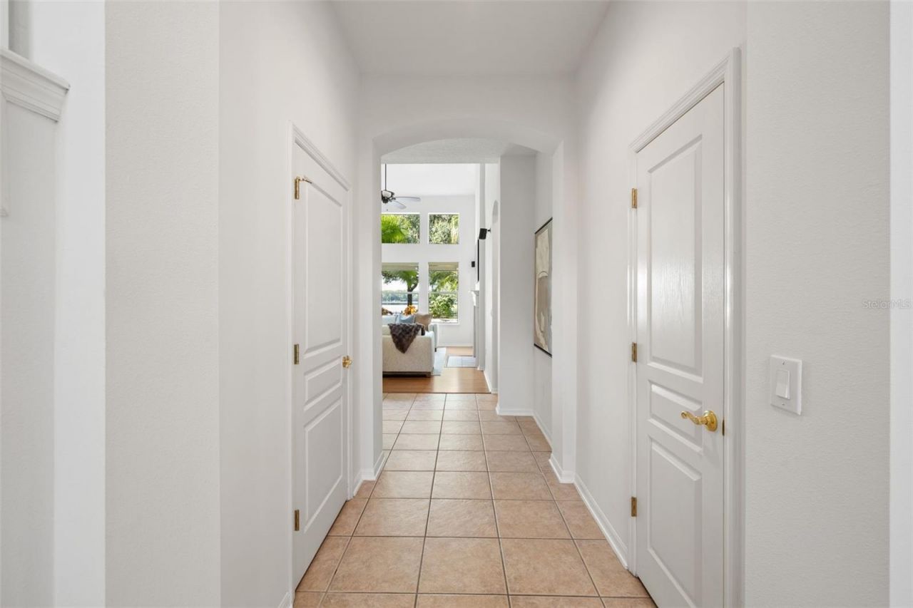 14623 Canopy Drive, Tampa, FL 33626 Photo