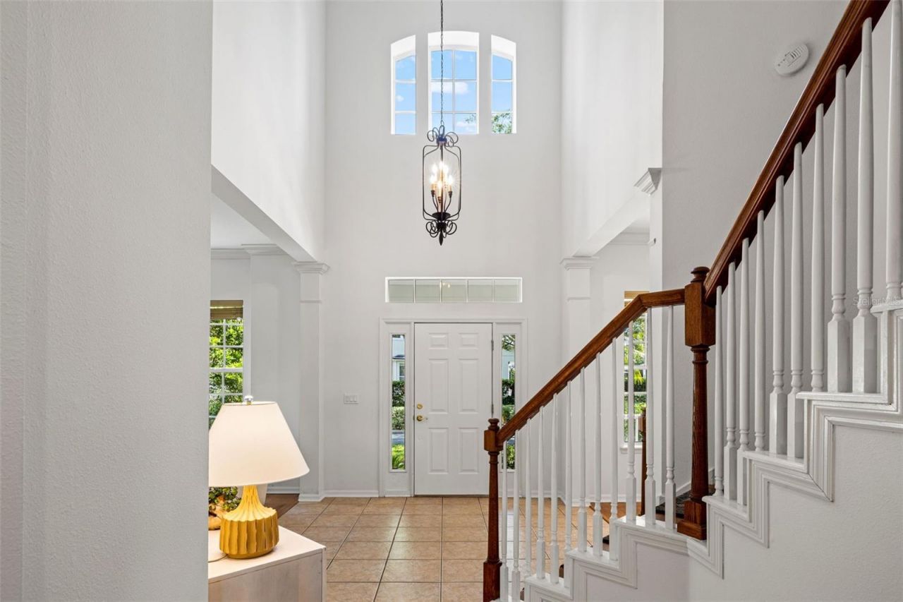 14623 Canopy Drive, Tampa, FL 33626 Photo