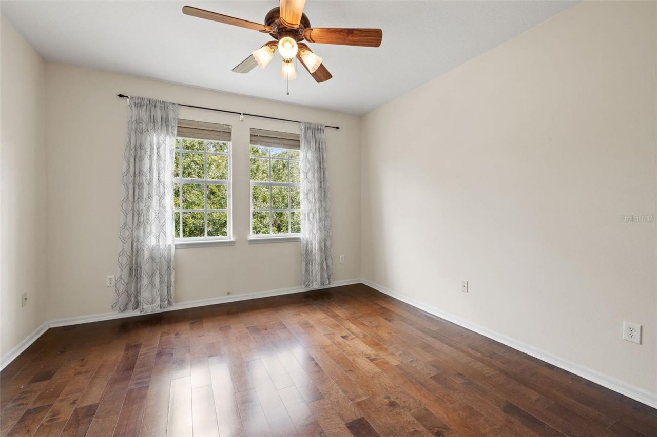14623 Canopy Drive, Tampa, FL 33626 Photo