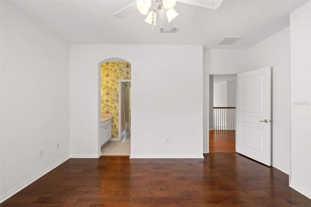 14623 Canopy Drive, Tampa, FL 33626 Photo