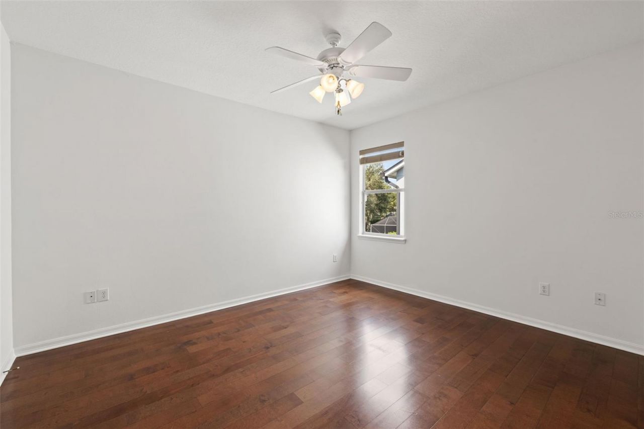 14623 Canopy Drive, Tampa, FL 33626 Photo