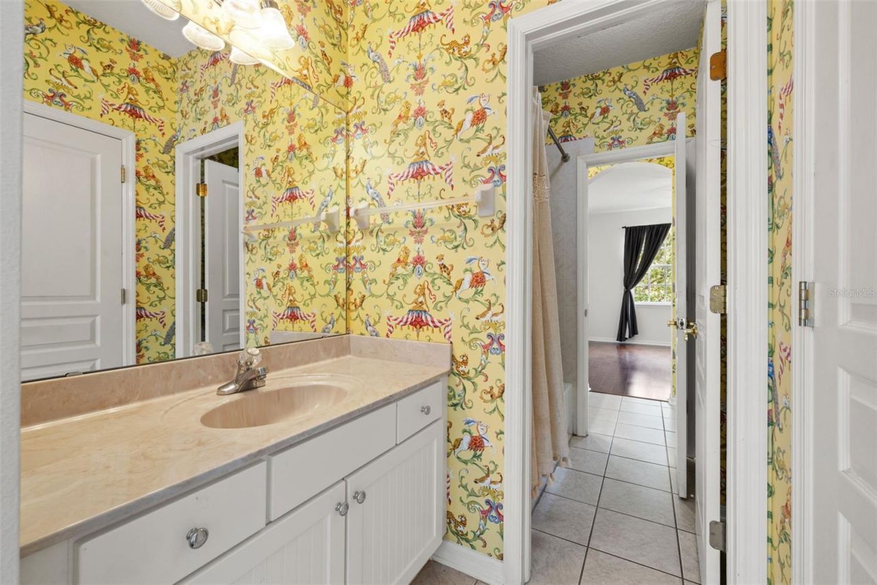 14623 Canopy Drive, Tampa, FL 33626 Photo