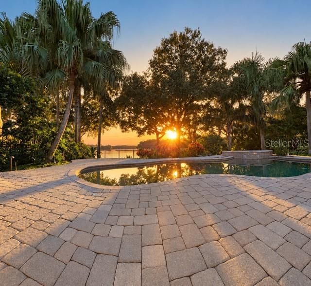 14623 Canopy Drive, Tampa, FL 33626 Photo