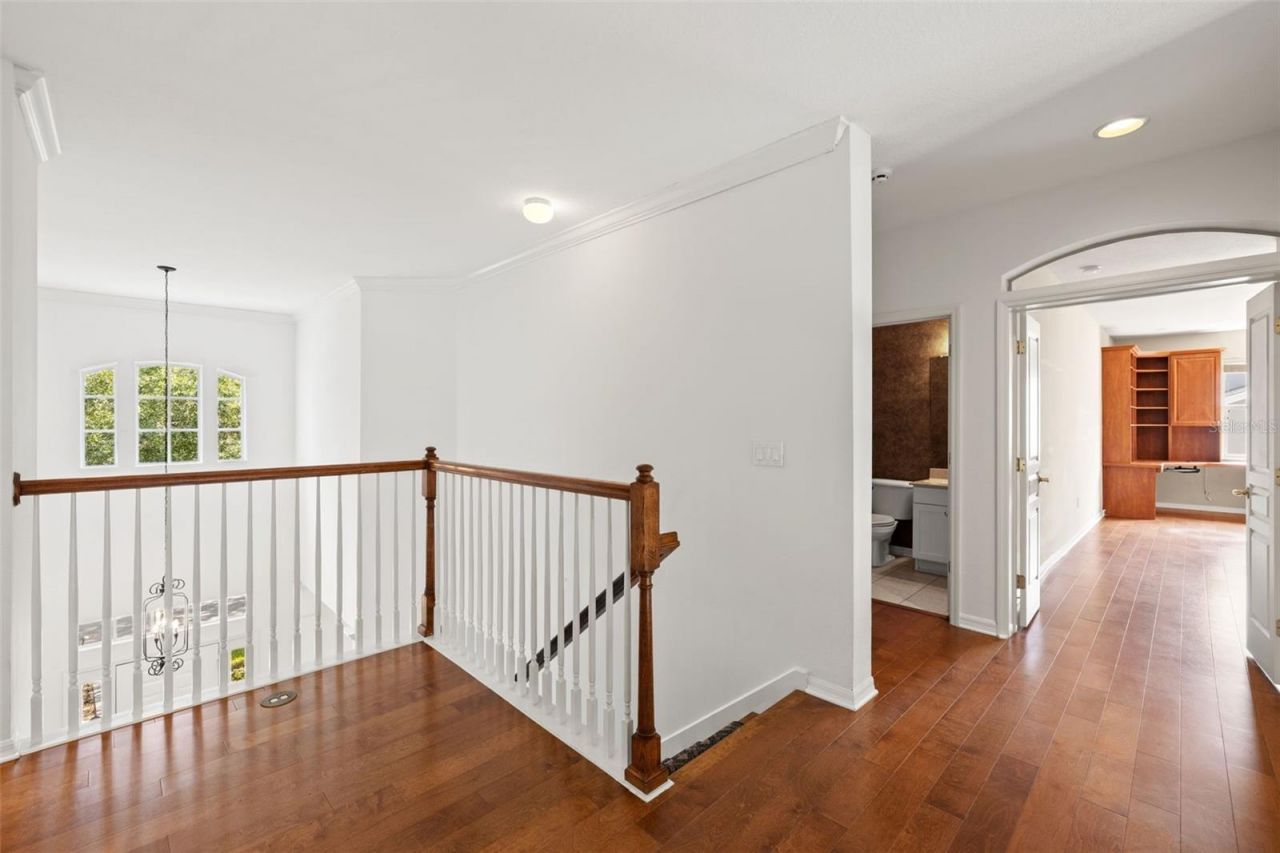 14623 Canopy Drive, Tampa, FL 33626 Photo