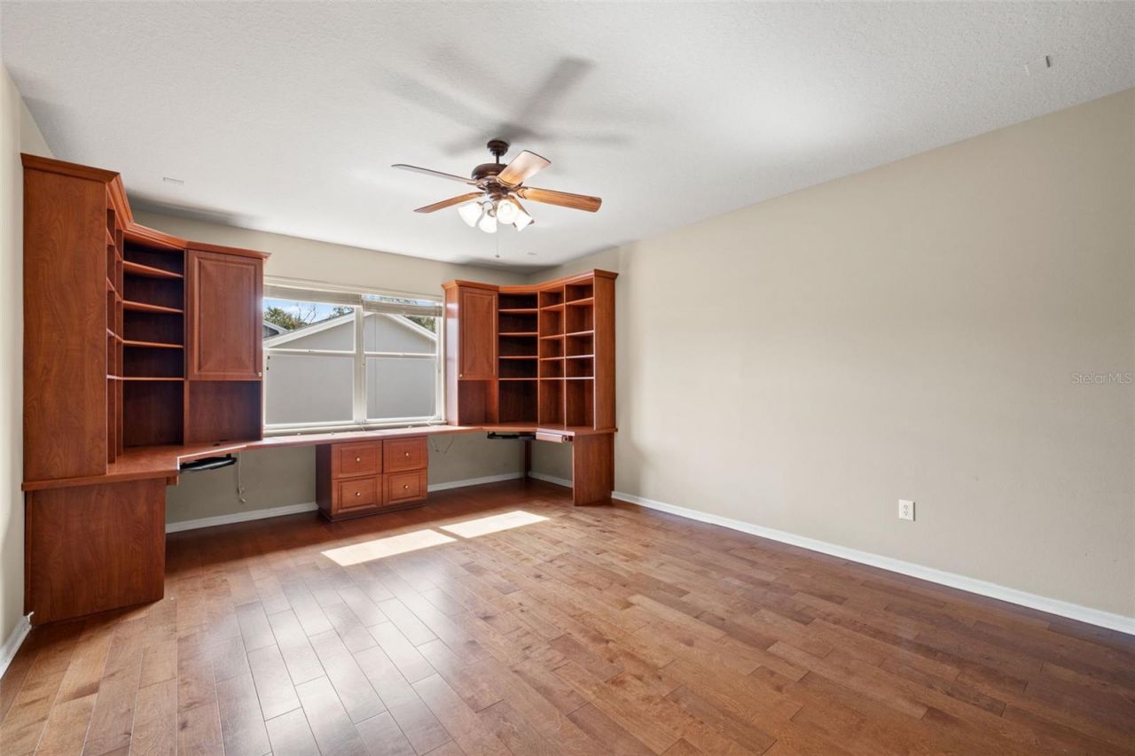 14623 Canopy Drive, Tampa, FL 33626 Photo