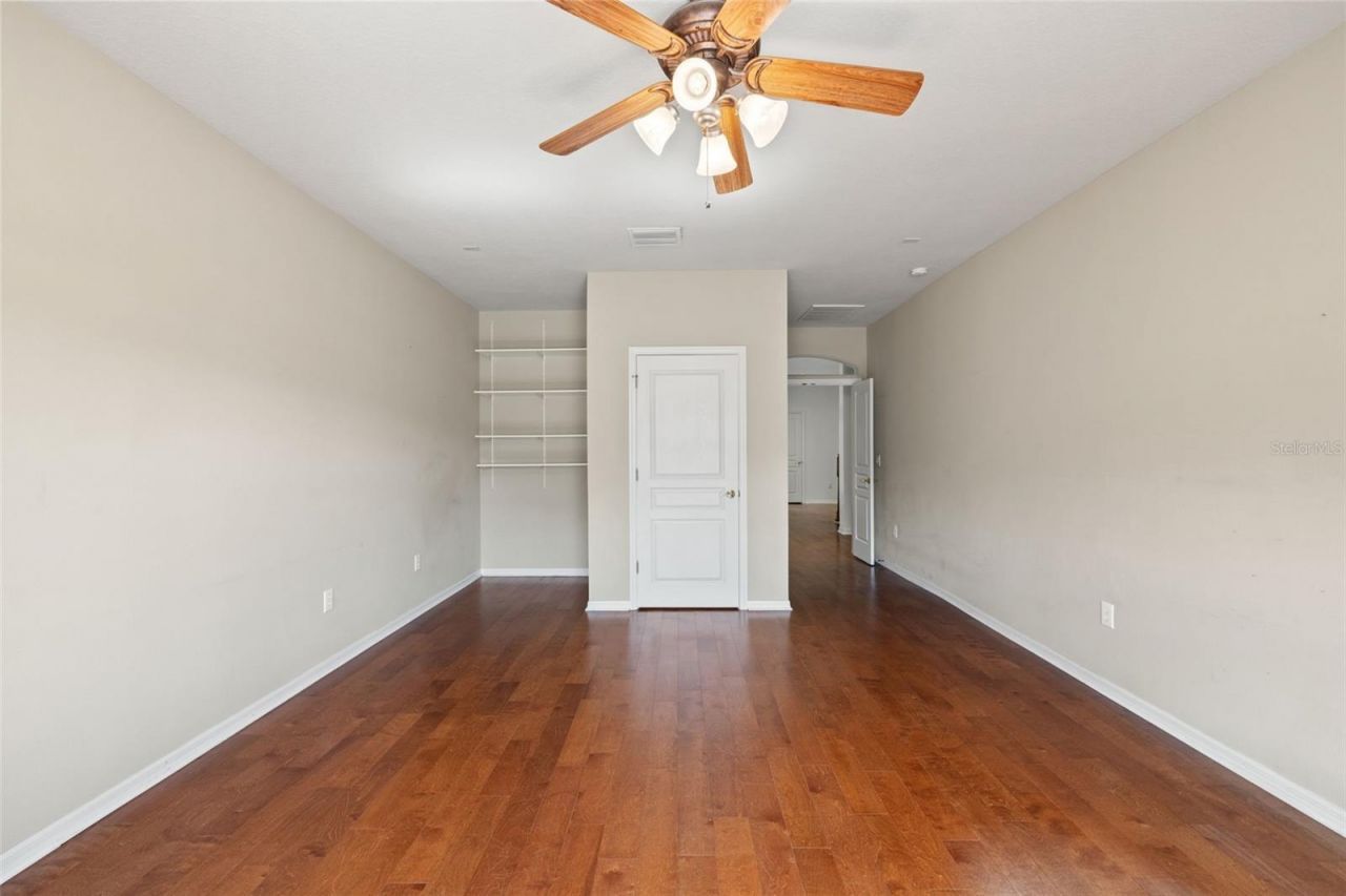 14623 Canopy Drive, Tampa, FL 33626 Photo