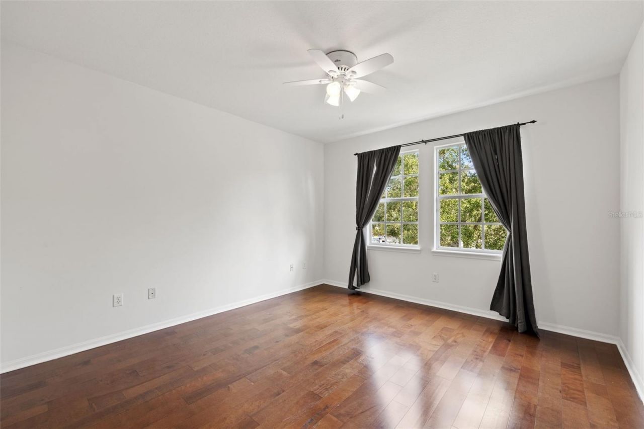 14623 Canopy Drive, Tampa, FL 33626 Photo