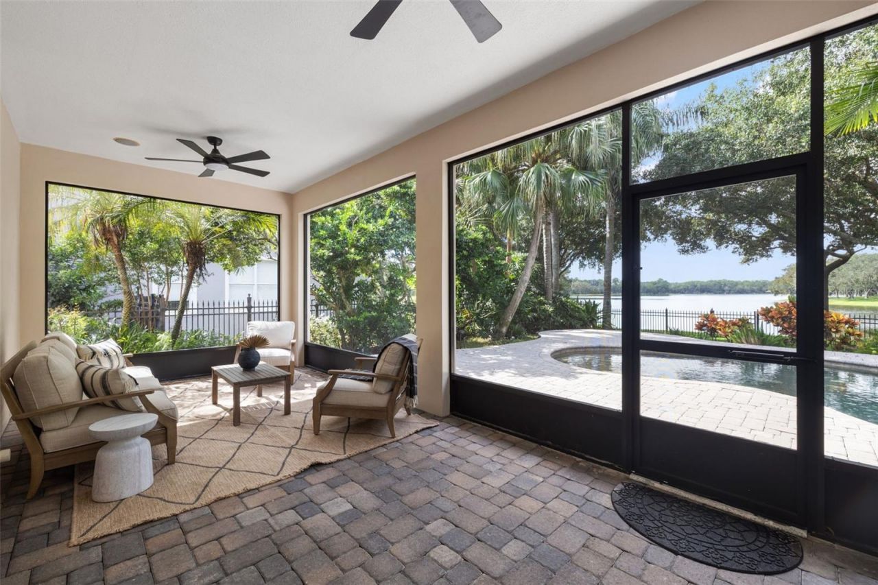 14623 Canopy Drive, Tampa, FL 33626 Photo