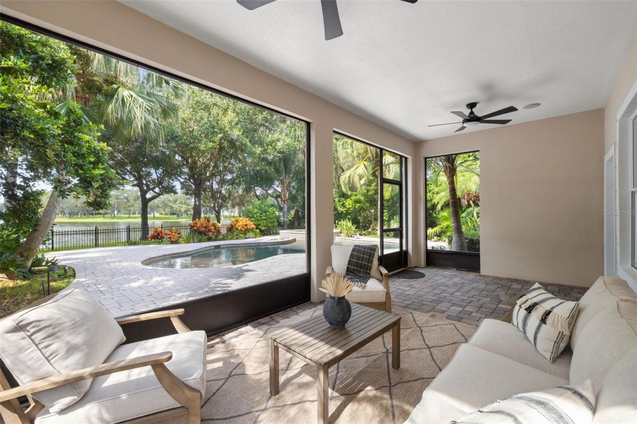 14623 Canopy Drive, Tampa, FL 33626 Photo