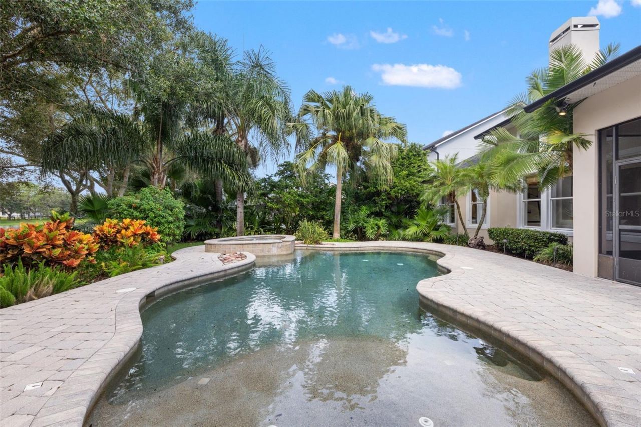 14623 Canopy Drive, Tampa, FL 33626 Photo