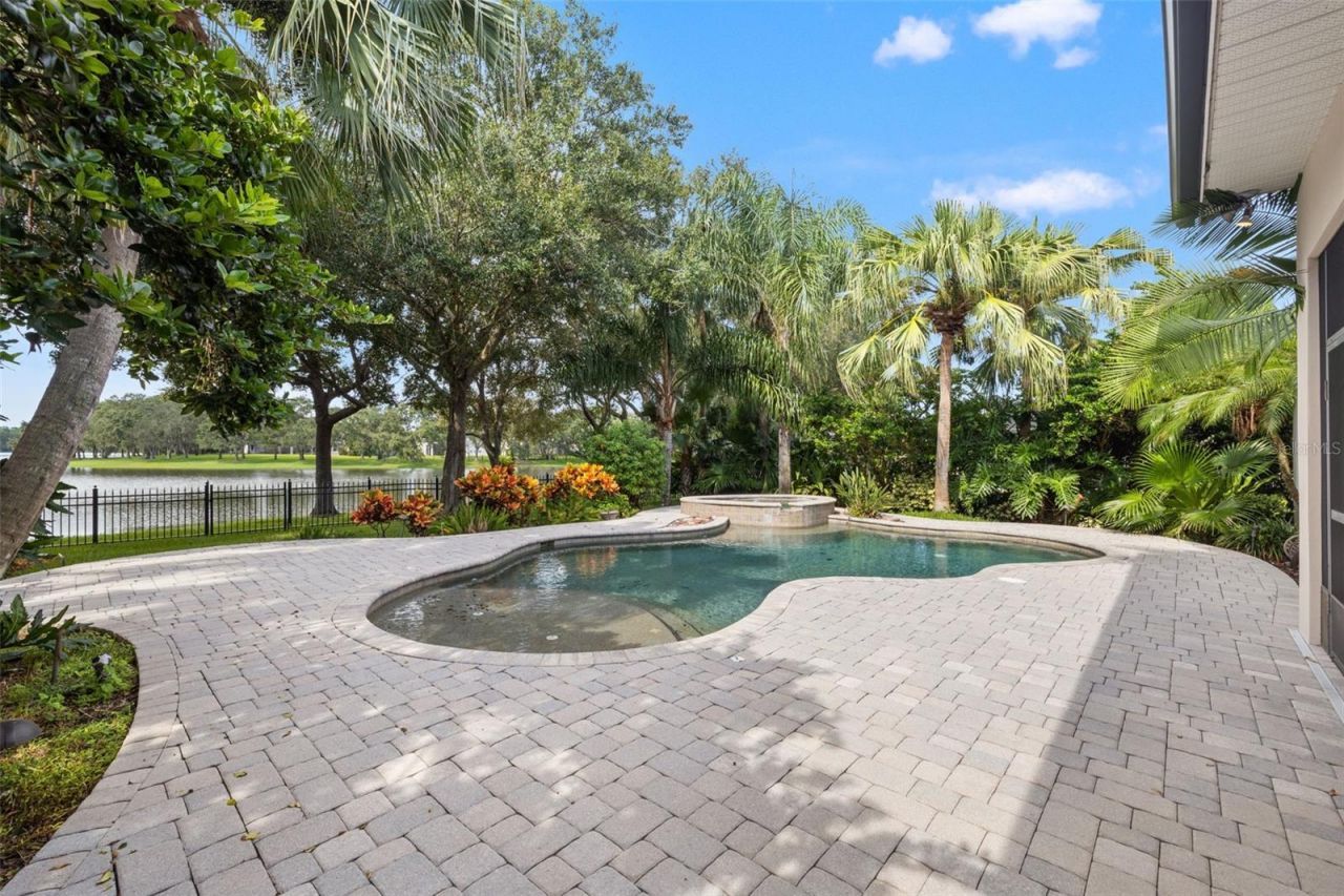 14623 Canopy Drive, Tampa, FL 33626 Photo