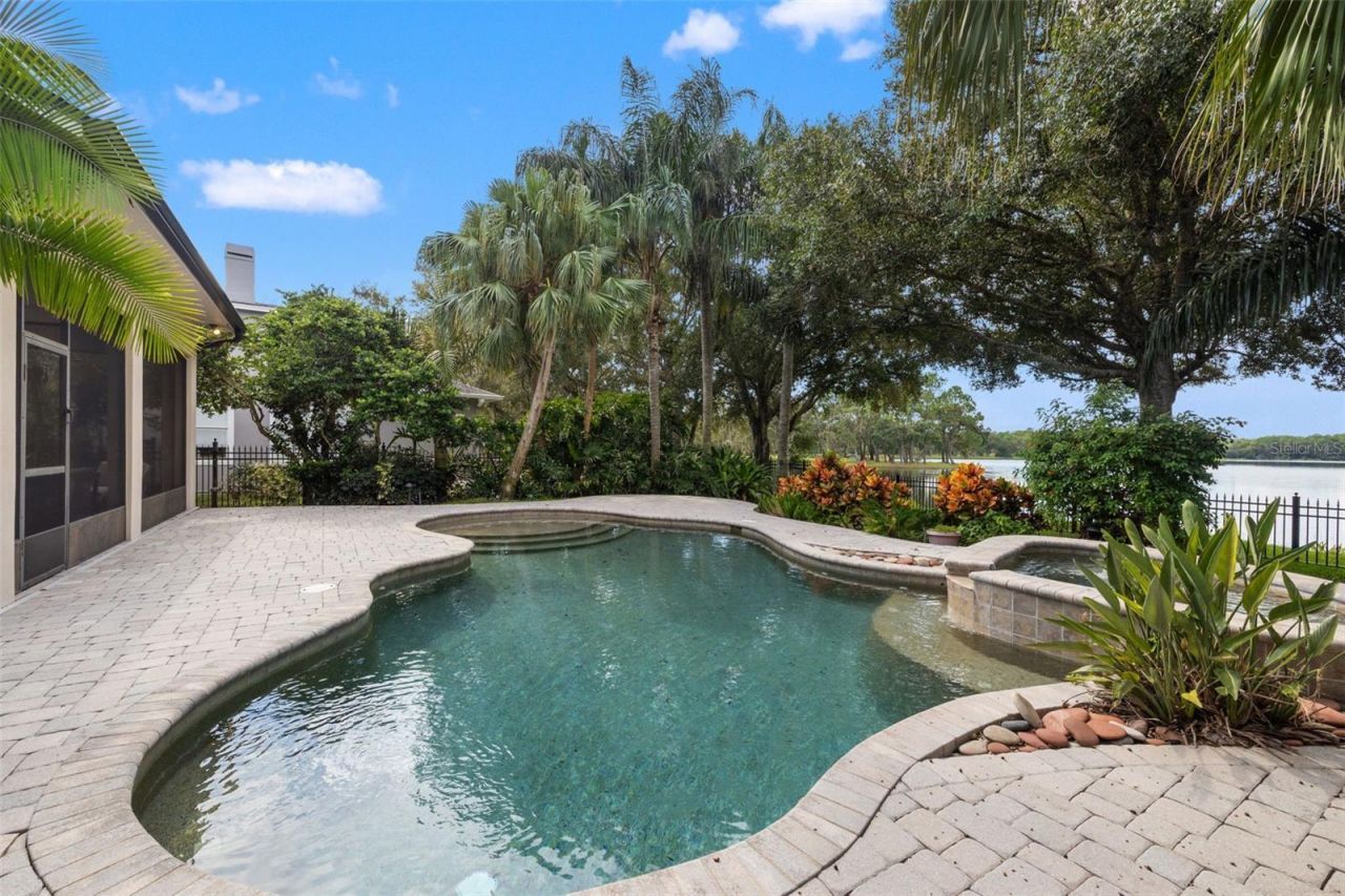 14623 Canopy Drive, Tampa, FL 33626 Photo
