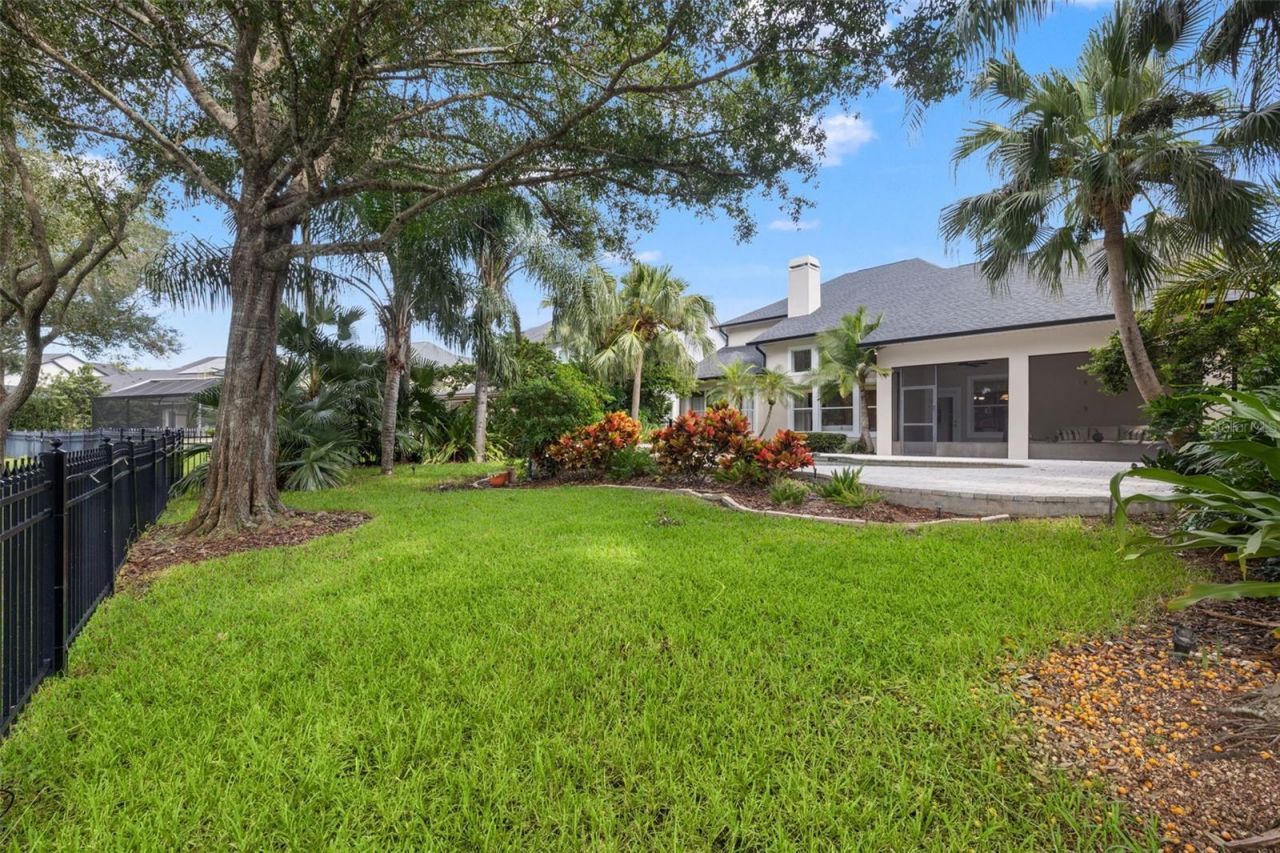 14623 Canopy Drive, Tampa, FL 33626 Photo