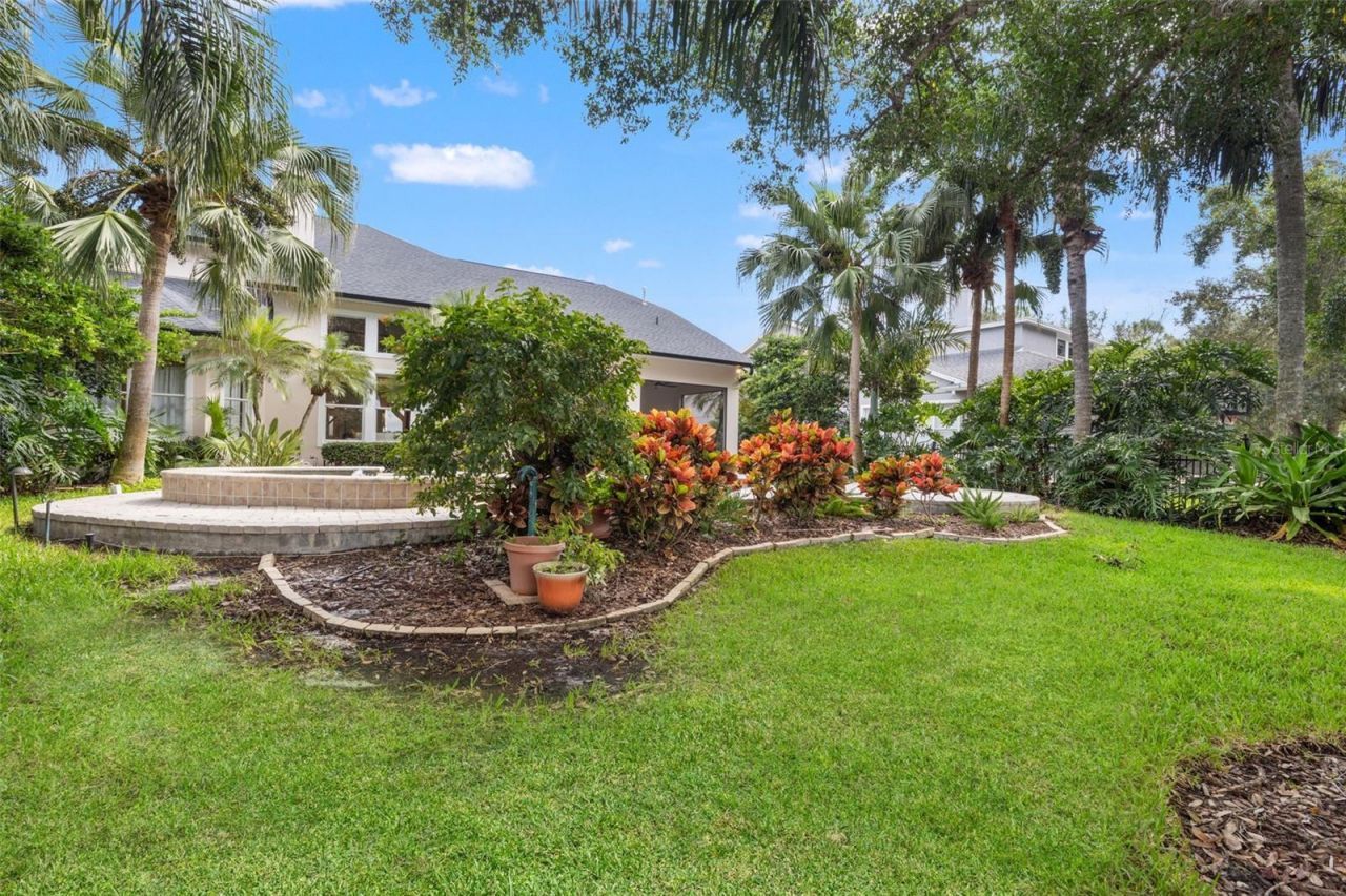 14623 Canopy Drive, Tampa, FL 33626 Photo