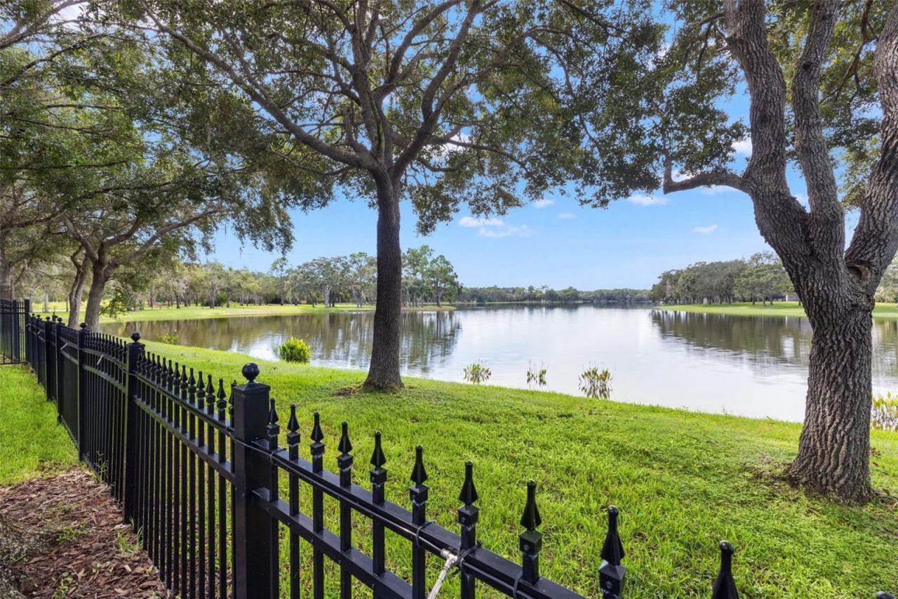 14623 Canopy Drive, Tampa, FL 33626 Photo
