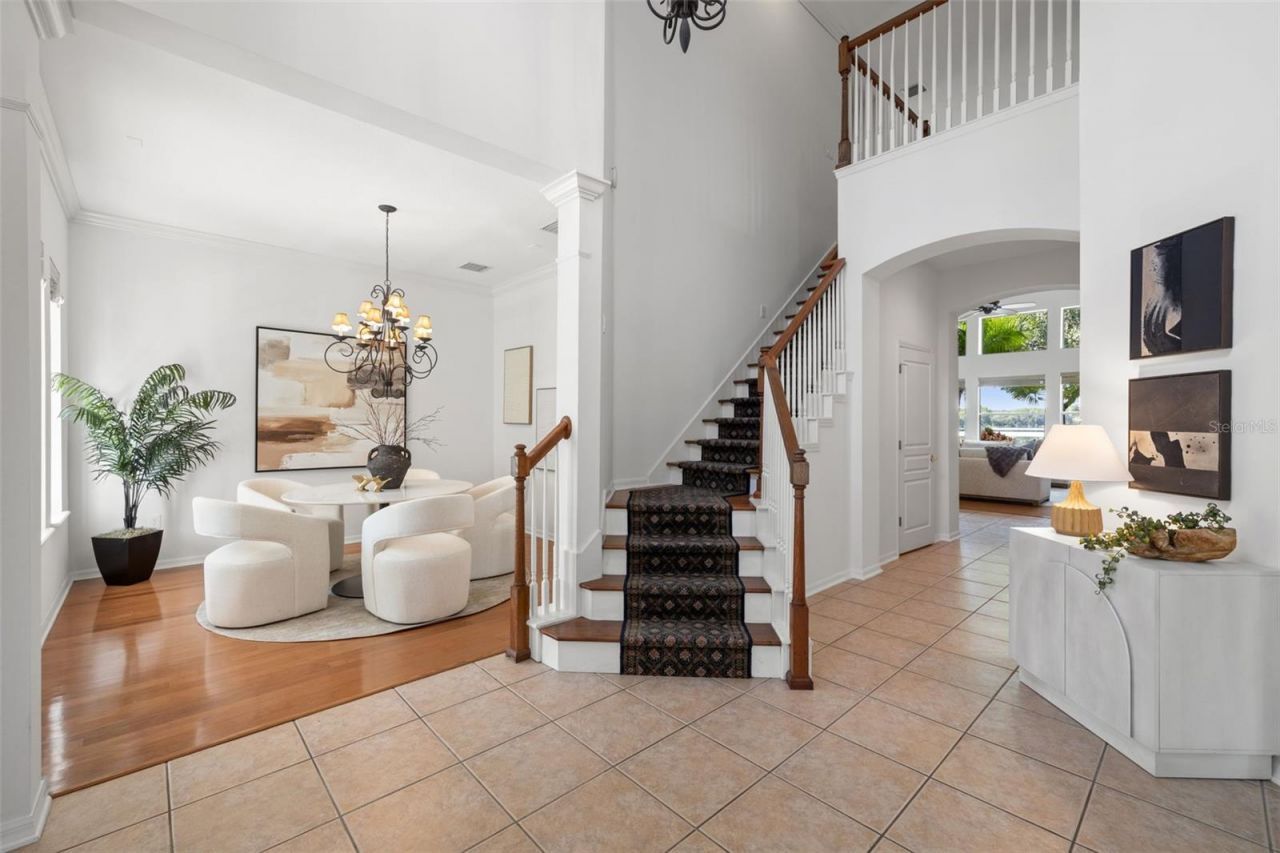 14623 Canopy Drive, Tampa, FL 33626 Photo