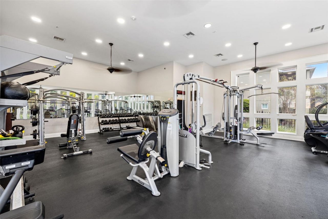 14623 Canopy Drive, Tampa, FL 33626 Photo