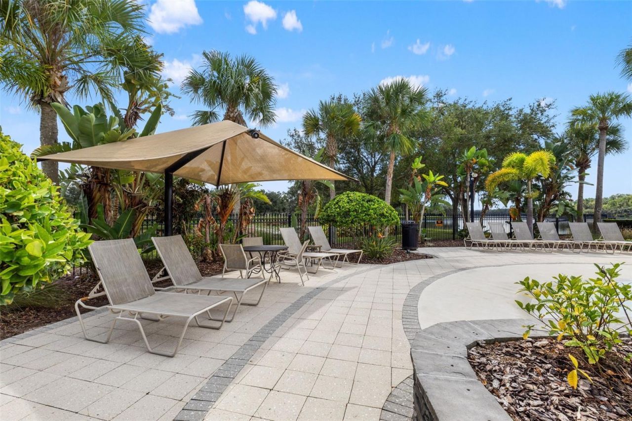 14623 Canopy Drive, Tampa, FL 33626 Photo