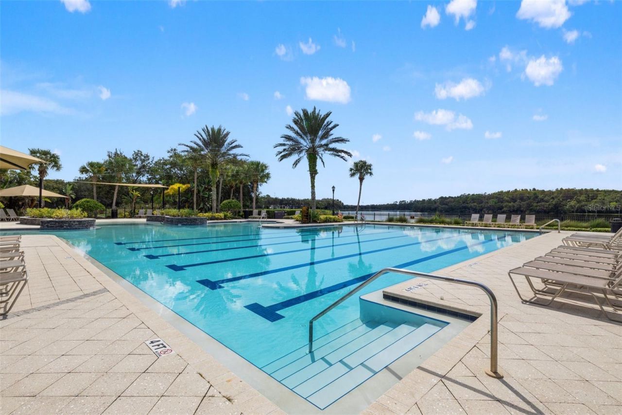 14623 Canopy Drive, Tampa, FL 33626 Photo