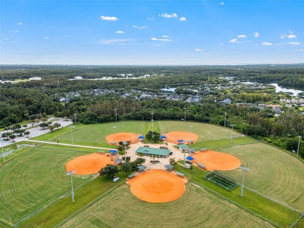 14623 Canopy Drive, Tampa, FL 33626 Photo