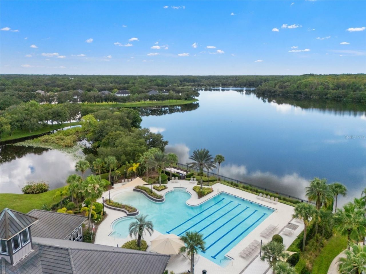 14623 Canopy Drive, Tampa, FL 33626 Photo