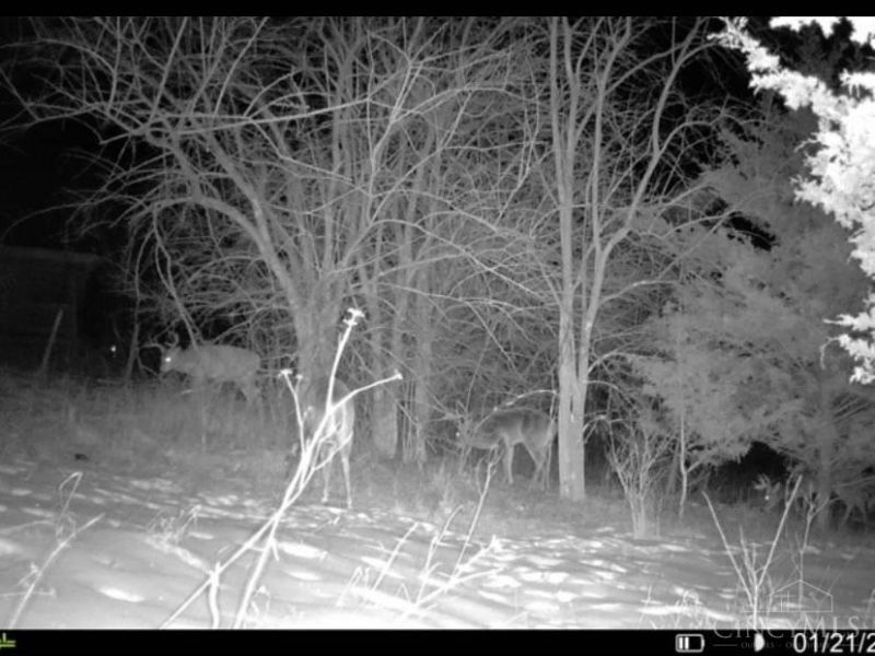 4140 St Rt 763, Huntington Township, OH 45167 Photo 14