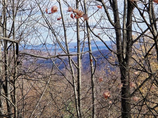 0 Taylor Mountain RD , Thaxton, VA 24174