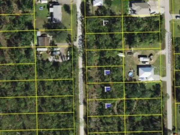 12198 CARTOUCHE AVENUE , PUNTA GORDA, FL 33955