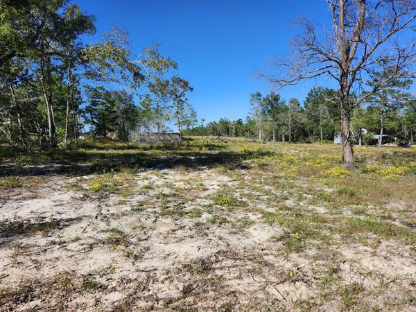 Lot 23 W Bach Drive, DeFuniak Springs, FL 32433