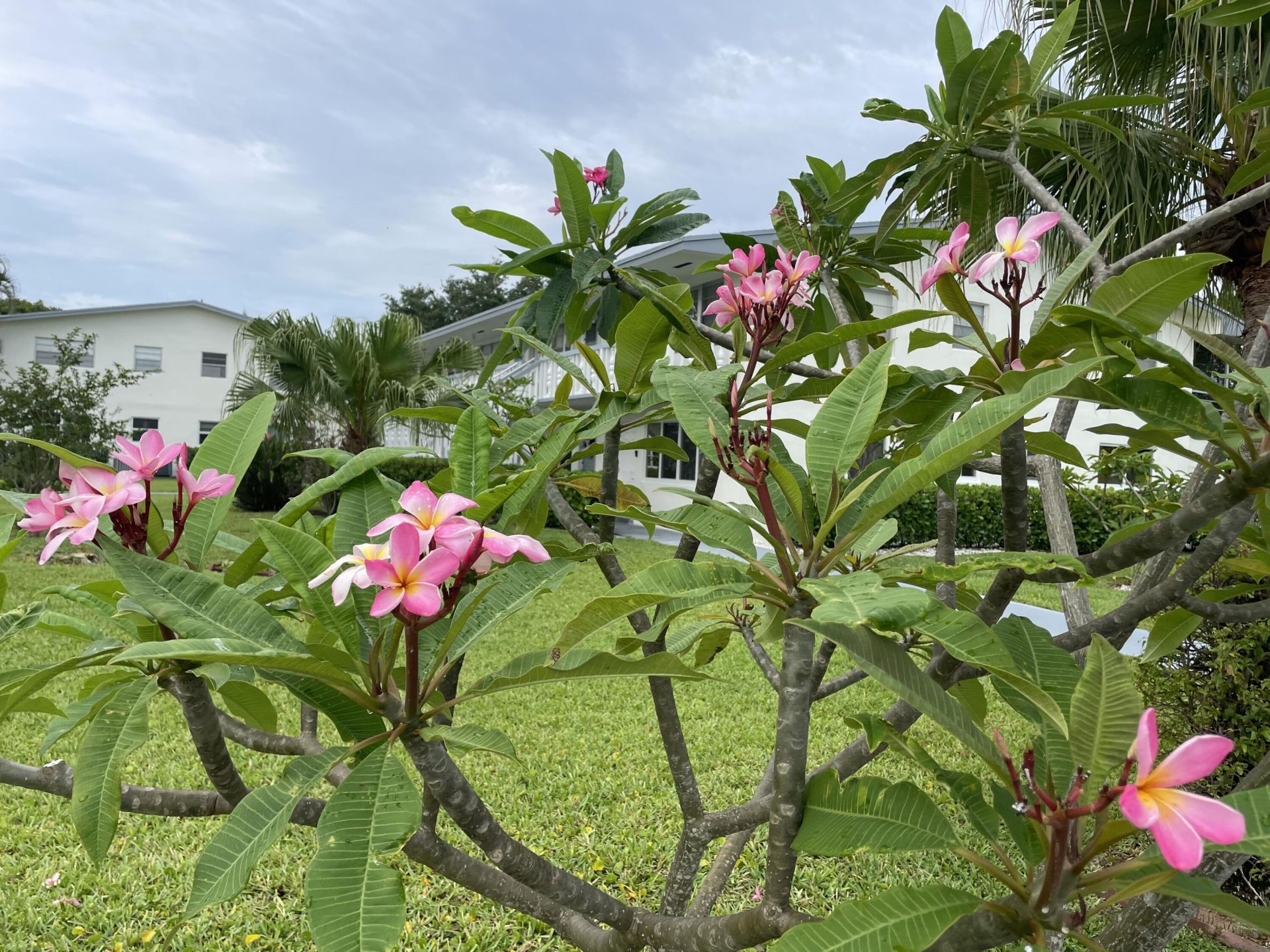 162 Camden G, West Palm Beach, FL 33417 Photo