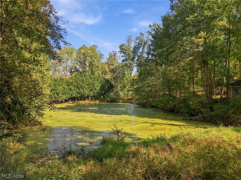 2274 N Orchard Road NE, Bolivar, OH 44612 Photo 3