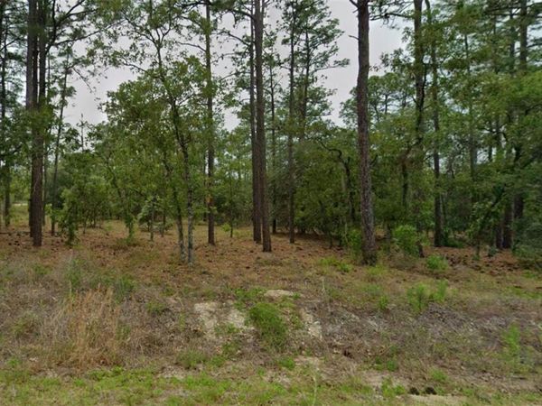 SOUTHEAST 129TH COURT , DUNNELLON, FL 34431