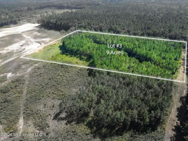 Lot 3 Sulphur Springs Road, Canton, MS 39046