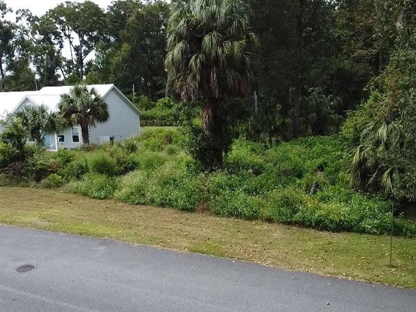 9239 EMILY DRIVE , FANNING SPRINGS, FL 32693