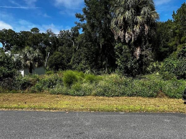 9239 EMILY DRIVE , FANNING SPRINGS, FL 32693