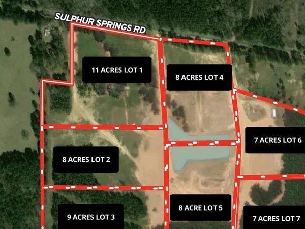 Lot 7 Sulphur Springs Road, Canton, MS 39046