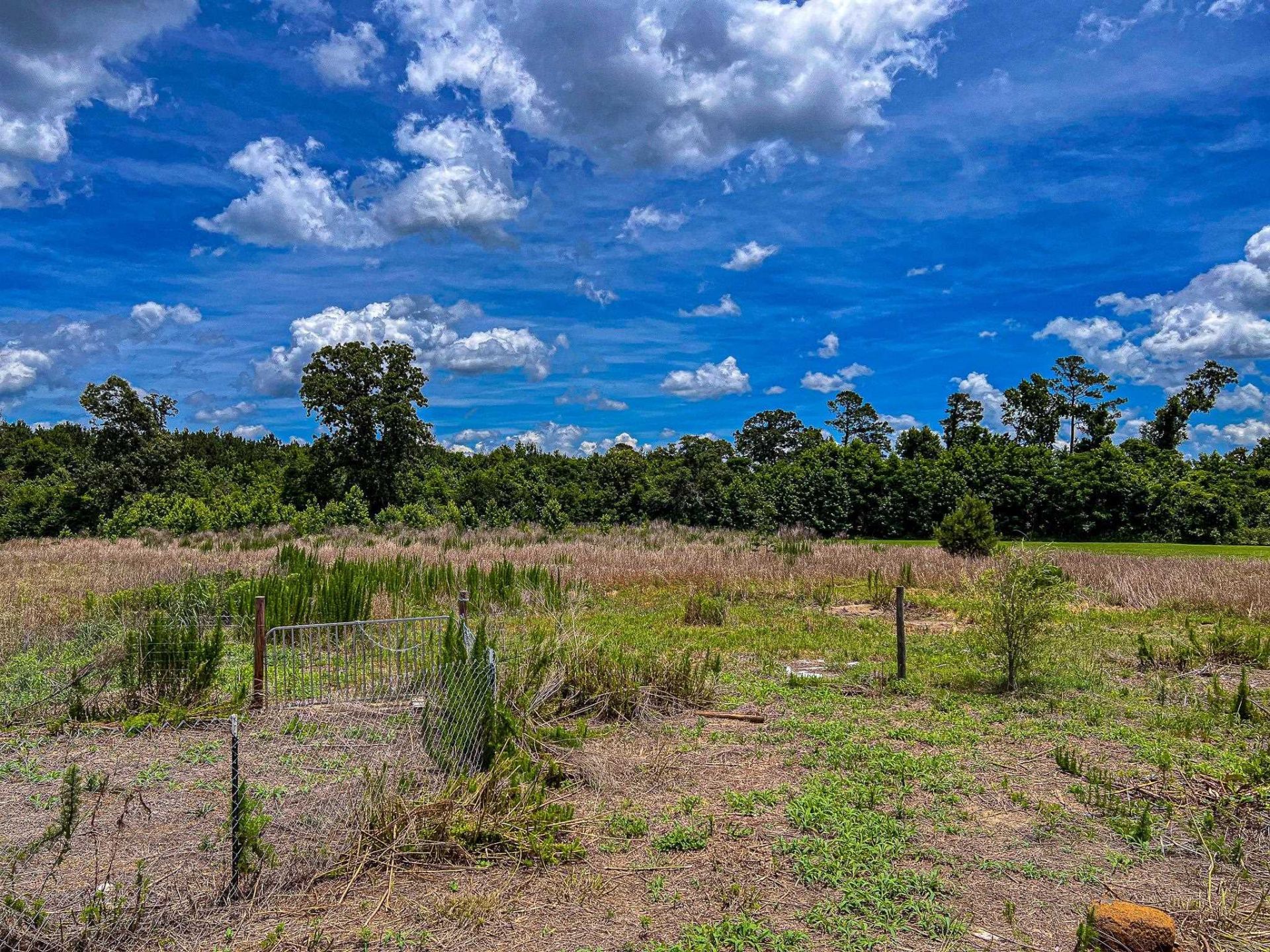 176 Old Flowers Rd.  Photo 47